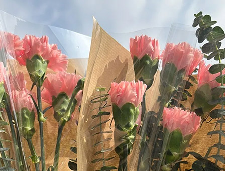 花开十里，恰如你——太阳成集团股份祝各位女神节日快乐！